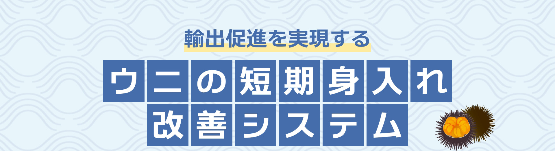 輸出促進を実現する ウニの短期身入れ改善システム