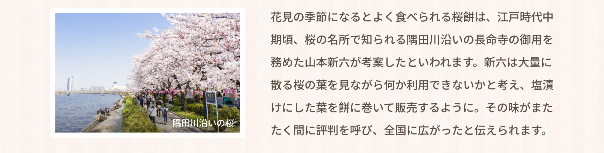 隅田川沿いの桜 花見の季節になるとよく食べられる桜餅は、江戸時代中期頃、桜の名所で知られる隅田川沿いの長命寺の御用を務めた山本新六が考案したといわれます。新六は大量に散る桜の葉を見ながら何か利用できないかと考え、塩漬けにした葉を餅に巻いて販売するように。その味がまたたく間に評判を呼び、全国に広がったと伝えられます。