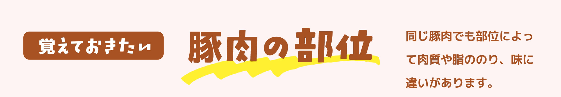 覚えておきたい 豚肉の部位 同じ豚肉でも部位によって肉質や脂ののり、味に違いがあります。