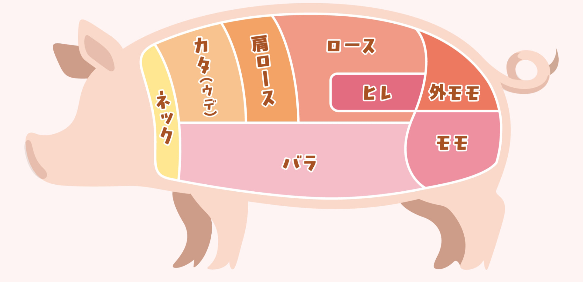 ネック カタ（ウデ） 肩ロース ロース ヒレ 外モモ バラ モモ