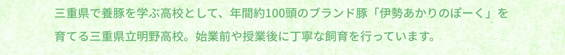 三重県で養豚を学ぶ高校として、年間約100頭のブランド豚「伊勢あかりのぽーく」を育てる三重県立明野高校。始業前や授業後に丁寧な飼育を行っています。