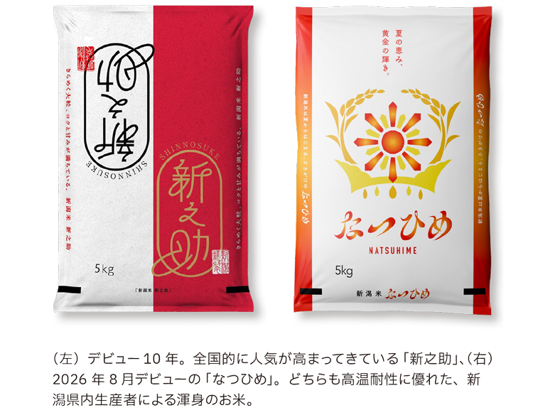 （左）デビュー 10 年。全国的に人気が高まってきている「新之助」、（右）2026 年 8 月デビューの「なつひめ」。どちらも高温耐性に優れた、新潟県内生産者による渾身のお米。