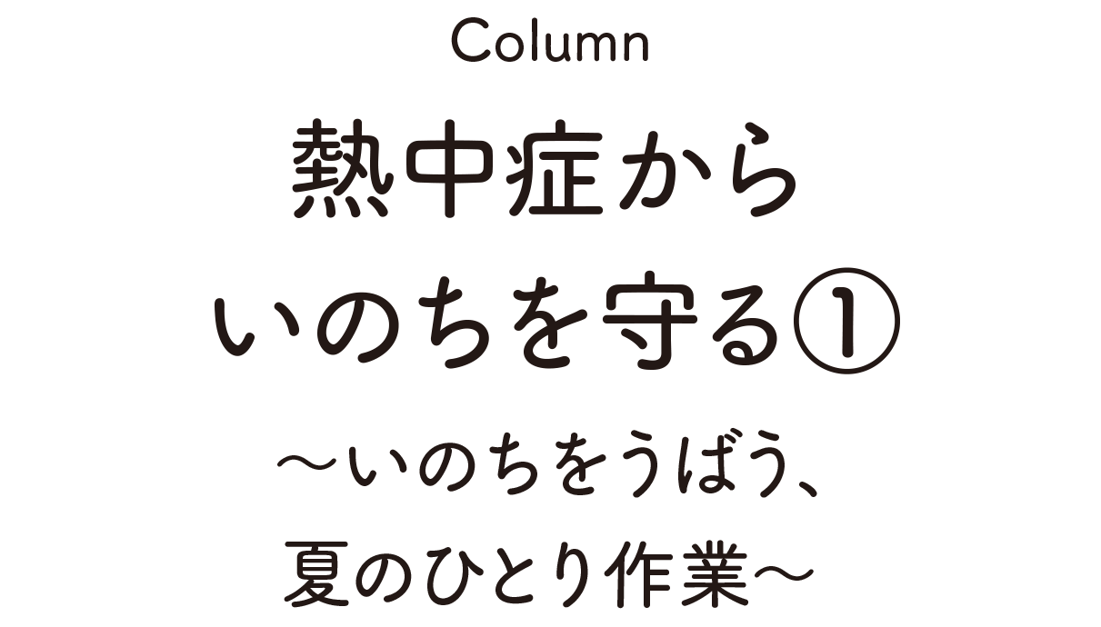 Column:熱中症からいのちを守る①～いのちをうばう、夏のひとり作業～
