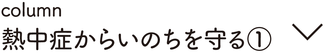 Colum 熱中症から命を守る①