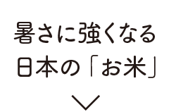 暑さに強くなる日本の「お米」