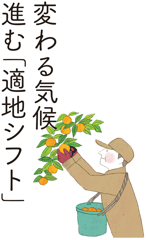 変わる気候進む「適地シフト」