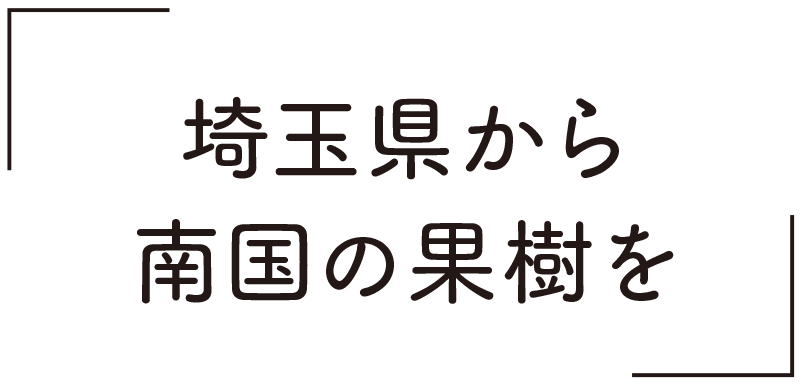 埼玉県から南国の果樹を