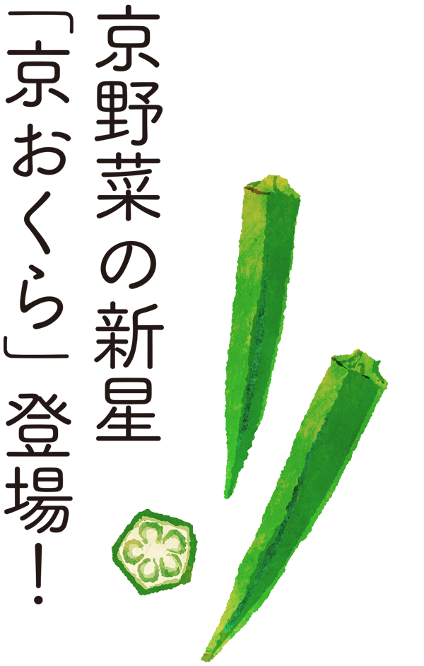 京野菜の新星「京おくら」登場！