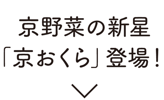 京野菜の新星「京おくら」登場！