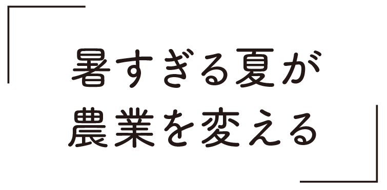 暑すぎる夏が農業を変える