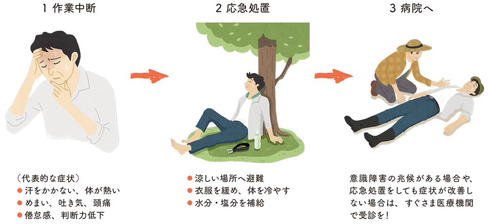 1.作業中断:（代表的な症状）汗をかかない、体が熱い、めまい、吐き気、頭痛、倦怠感、判断力低下 2.応急処置:涼しい場所へ避難、衣服を緩め、体を冷やす、水分・塩分を補給 3.病院へ:意識障害の兆候がある場合や、応急処置をしても症状が改善しない場合は、すぐさま医療機関で受診を！