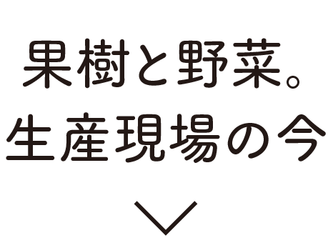 果樹と野菜。生産現場の今