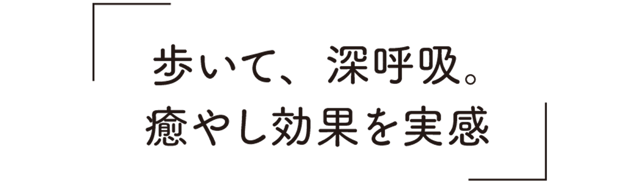 歩いて、深呼吸。癒やし効果を実感