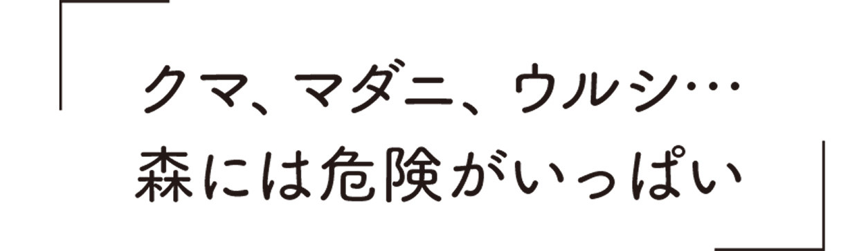 クマ、マダニ、ウルシ・・・森には危険がいっぱい