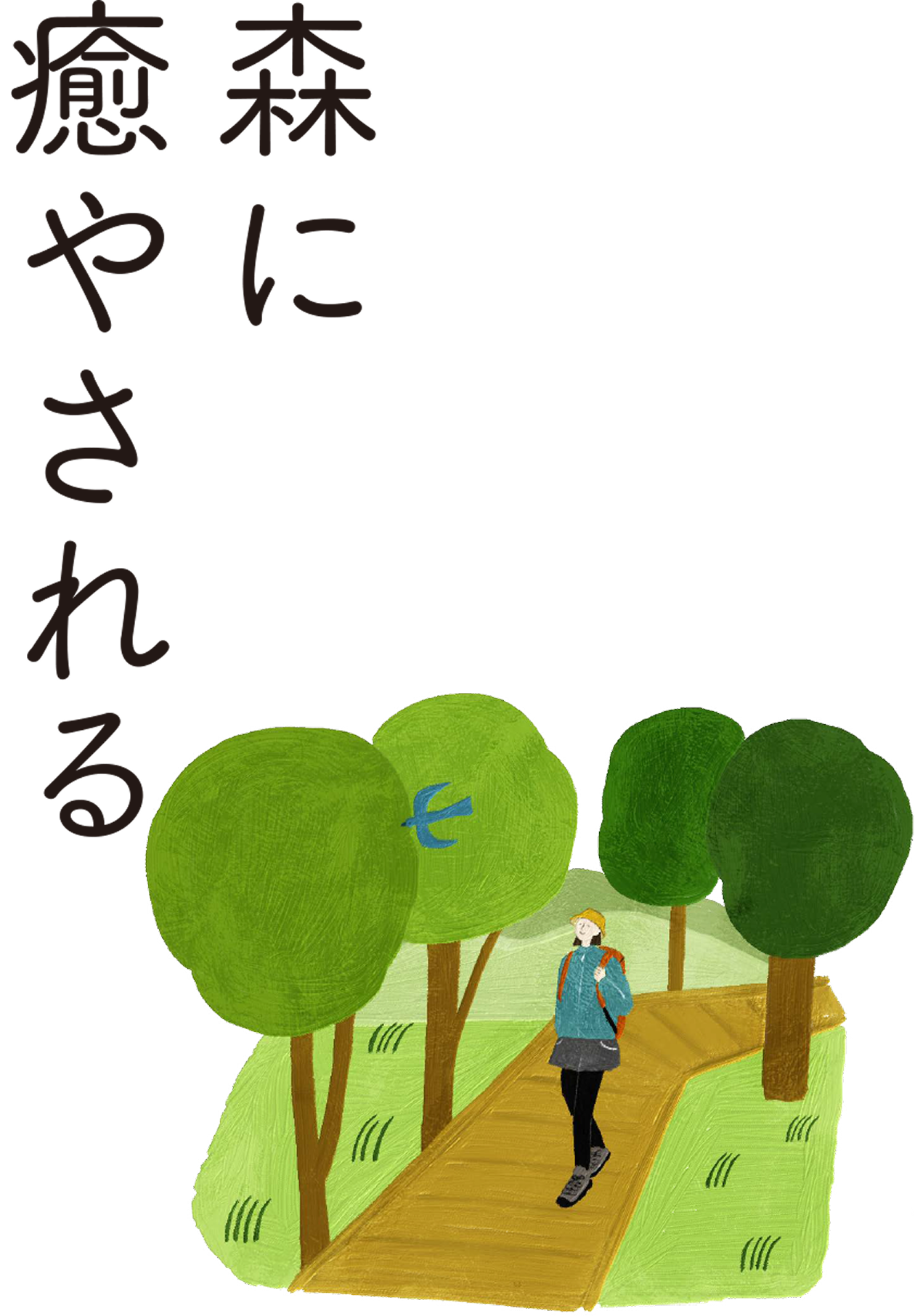 森に癒やされる