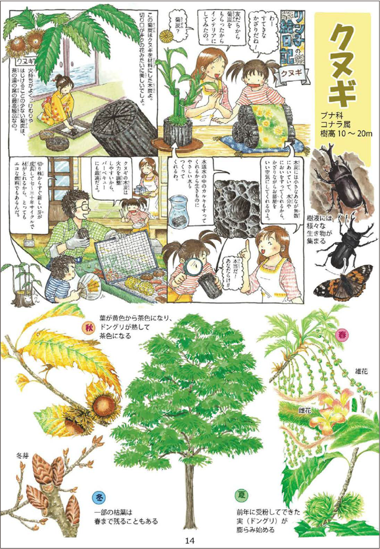 今回の記念分収造林ですでに植樹を行った、NPO法人の活動の様子。子どもから大人まで100人ほどが参加し、新たな森への一歩を踏み出しました。写真提供=特定非営利活動法人「どんぐり1000年の森をつくる会」