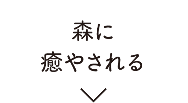 森に癒される