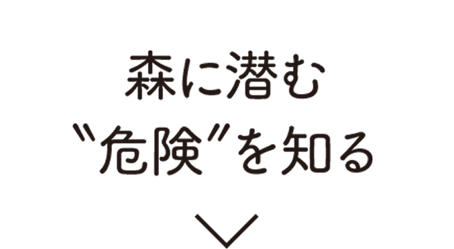 森に潜む危険を知る