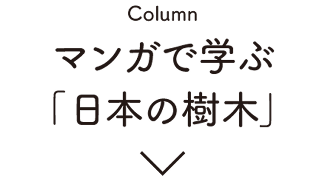 Column:マンガで学ぶ日本の樹木