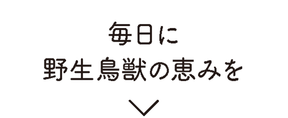 毎日に野生鳥獣の恵みを