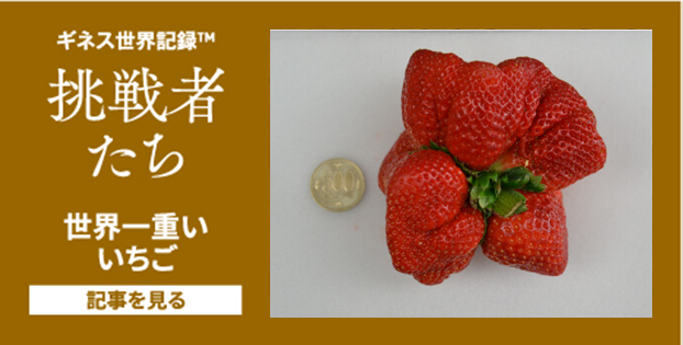 12月号世界一重いいちご