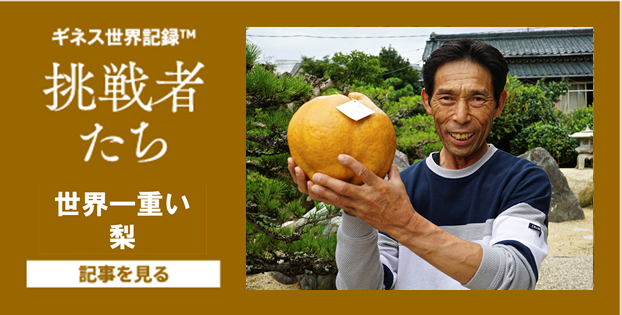 11月号世界一重い梨