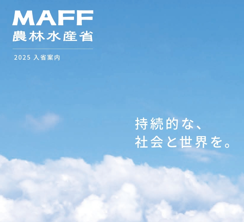 採用パンフレット