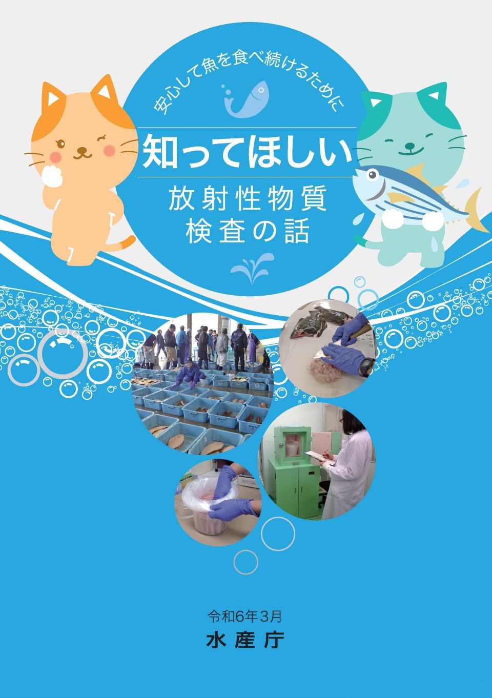 安心して魚を食べ続けるために知ってほしい放射性物質検査の話