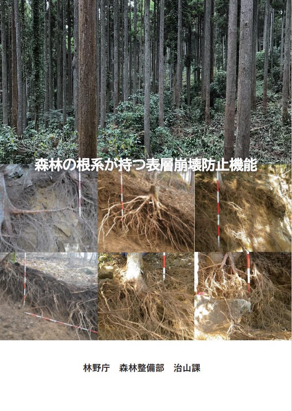 森林の根系が持つ表層崩壊防止機能
