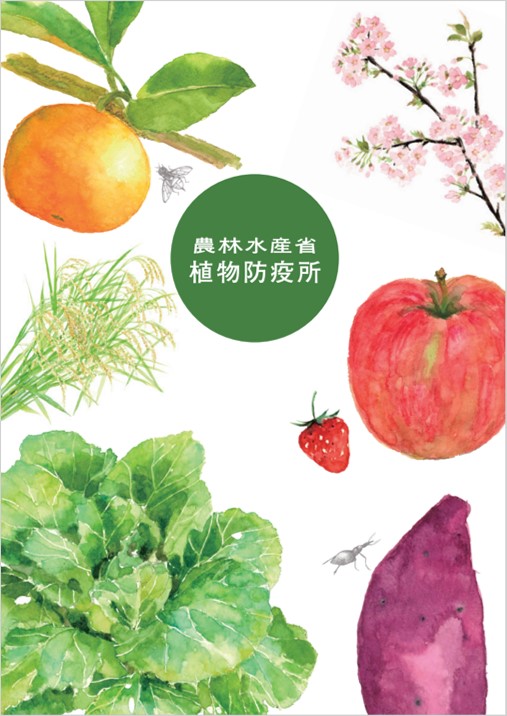 農業と緑を守るため 農林水産省 植物防疫所の仕事