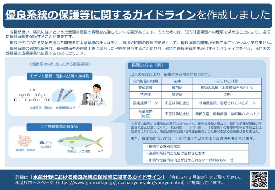 水産分野における優良系統の保護等に関するガイドライン等について
