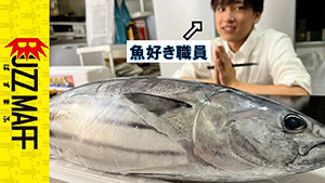 ぎょぎょチャンネル　サムネイル