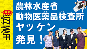 ヤッケン発見！　サムネイル