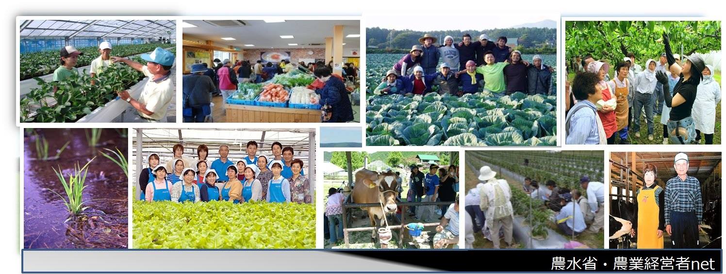 カバー画像facebook農業経営者net