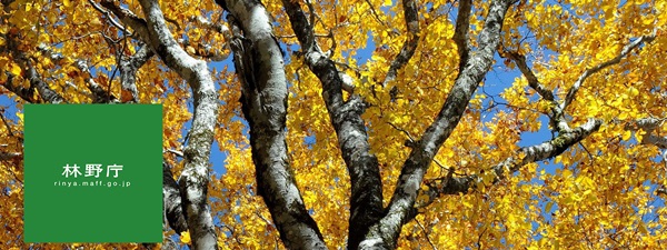 カバー画像facebook林野庁