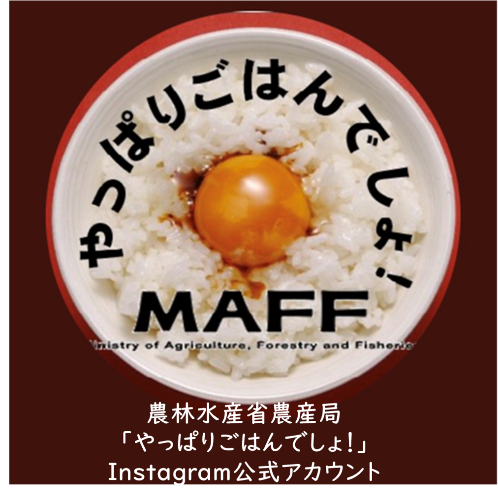 「やっぱりごはんでしょ!」Instagramアイコン