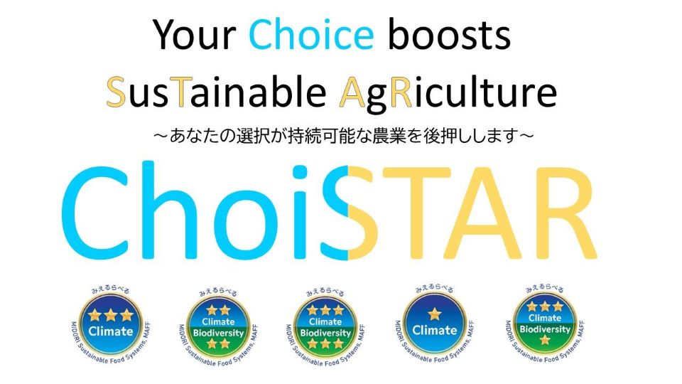 英語版みえるらべる「ChoiSTAR」