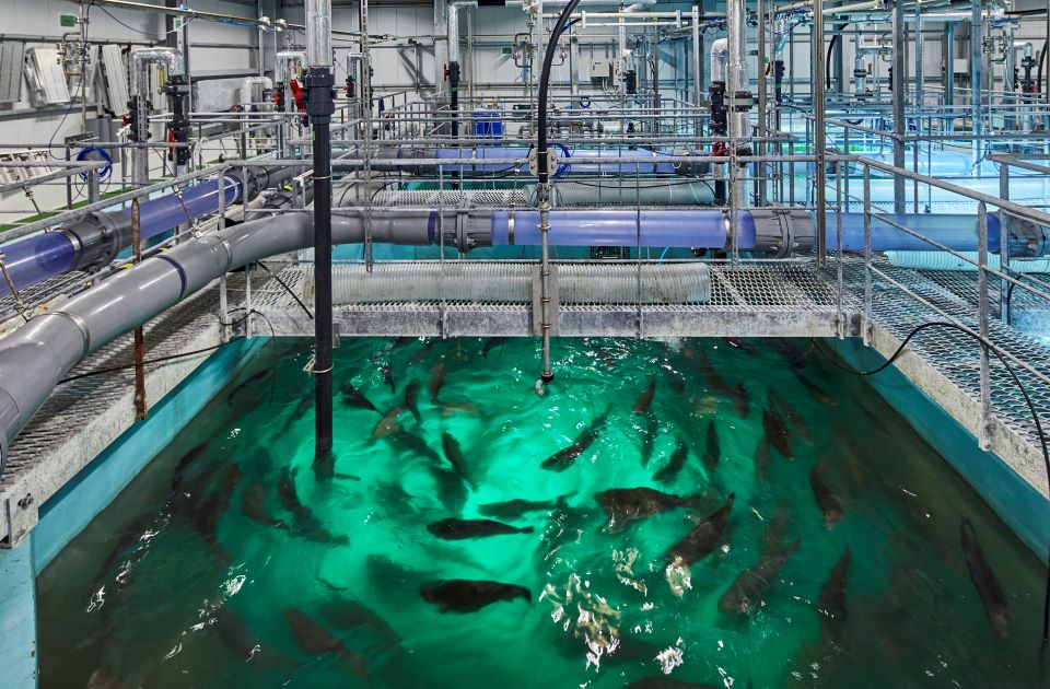 実証実験プラント