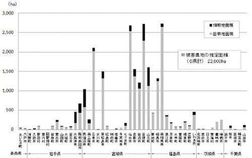 津波による流出・冠水等の被害を受けた農地の推定面積(市町村別)のグラフ