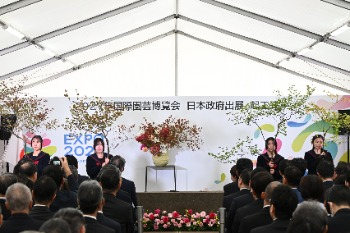 花いけパフォーマンス