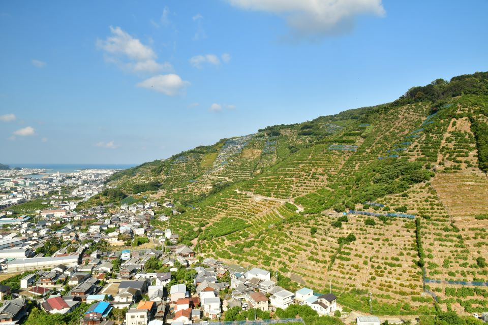 有田・下津地域のランドスケープ