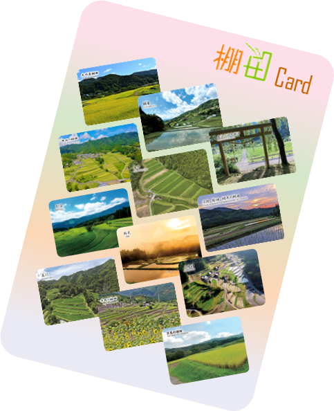 棚田カード