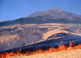 久住高原の野焼き