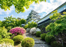 耐震補強工事を終えた郡上八幡城