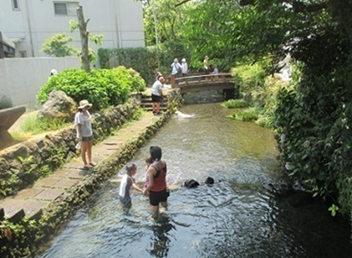 市街地のせせらぎ（源兵衛川）