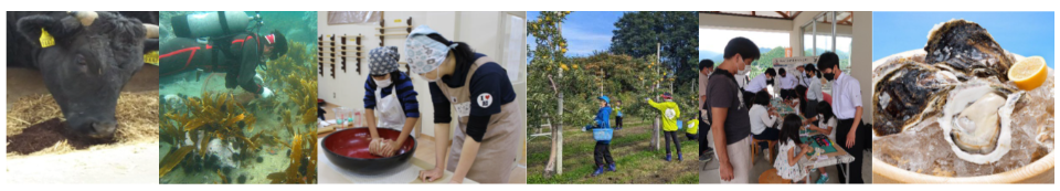 第11回ディスカバー農山漁村の宝選定地区