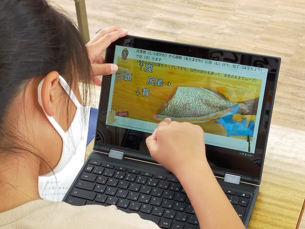 情報端末で3枚おろし体験