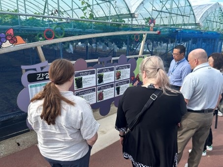 収穫体験型観光農園視察の様子