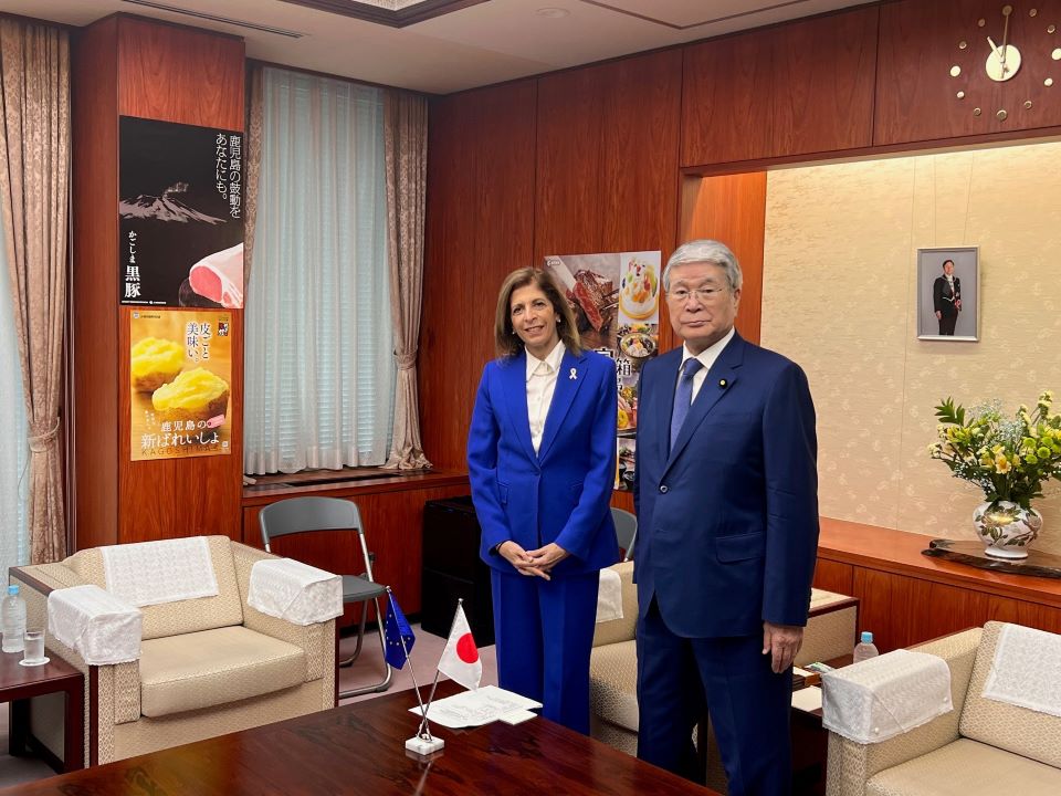 野村大臣とキリアキデス委員の会談の様子