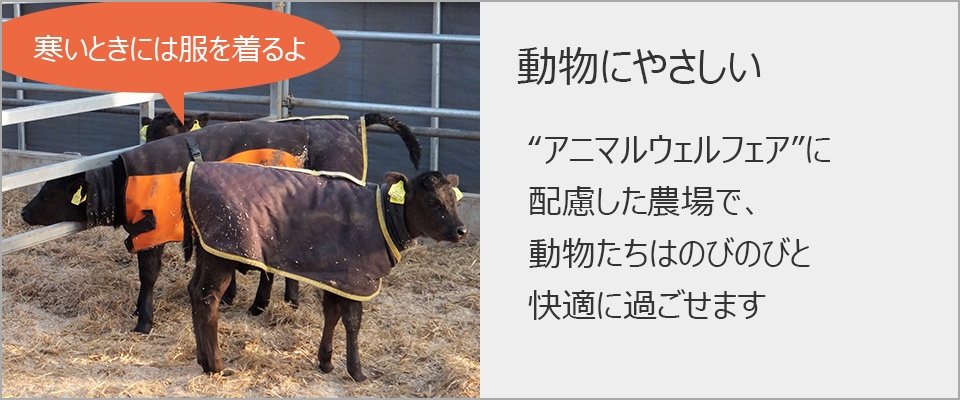 動物にやさしい